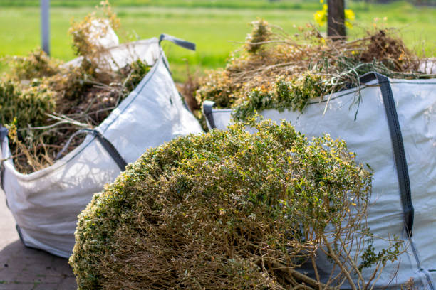Best Estate Cleanout Services  in Rochester, IL